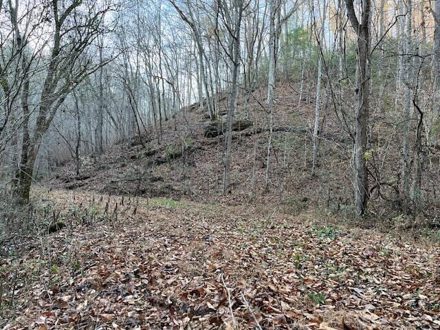 00 County Road 484, Englewood, TN 37329 - photo 3