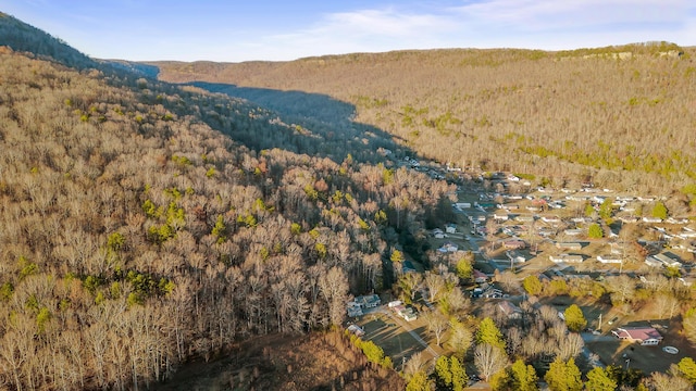 view of mountain feature