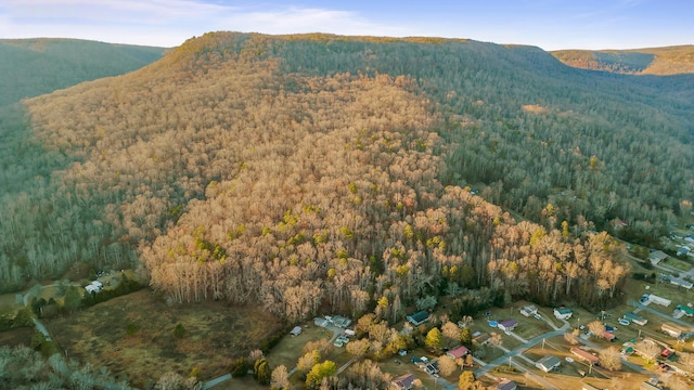 view of mountain feature