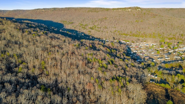 drone / aerial view featuring a mountain view