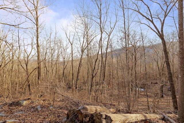 view of local wilderness