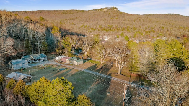 aerial view with a mountain view