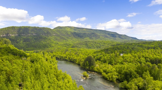 1786 Welcome Valley Rd, Benton, TN 37307 - property view of mountains featuring a view of trees