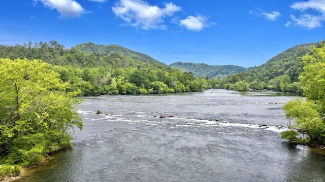 1786 Welcome Valley Rd, Benton, TN 37307 - property view of water featuring a mountain view and a wooded view
