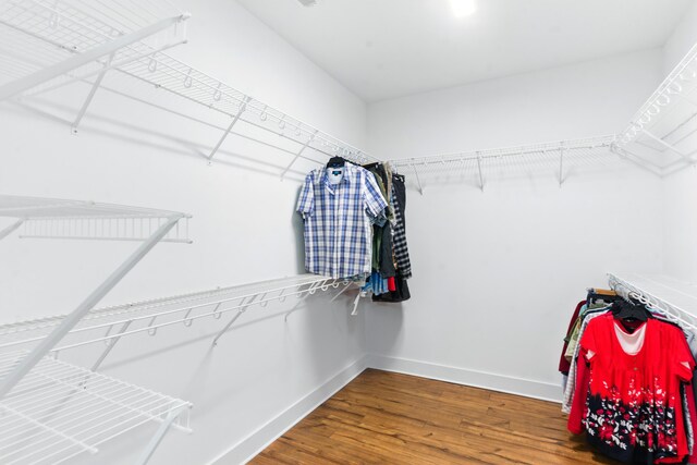 1786 Welcome Valley Rd, Benton, TN 37307 - spacious closet with wood finished floors