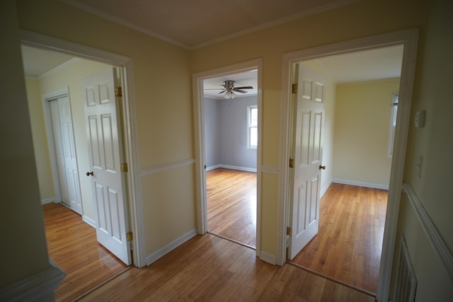 hall featuring light hardwood / wood-style floors and crown molding