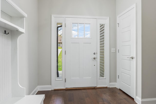 foyer entrance featuring dark wood-type flooring