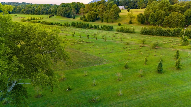 birds eye view of property with a rural view