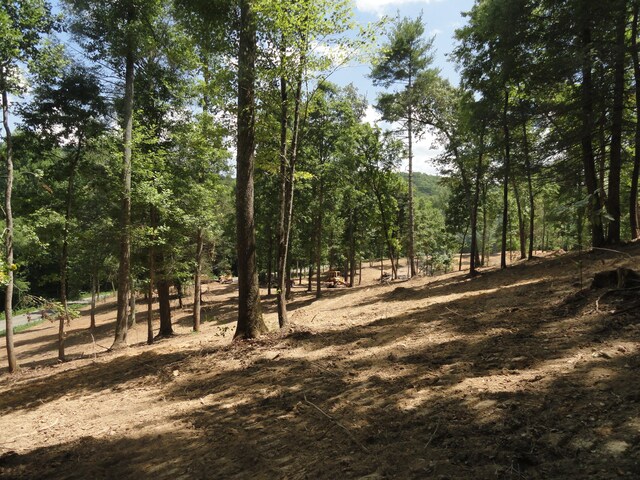 2277 Tellico Reliance Rd, Reliance, TN 37369 - photo 21