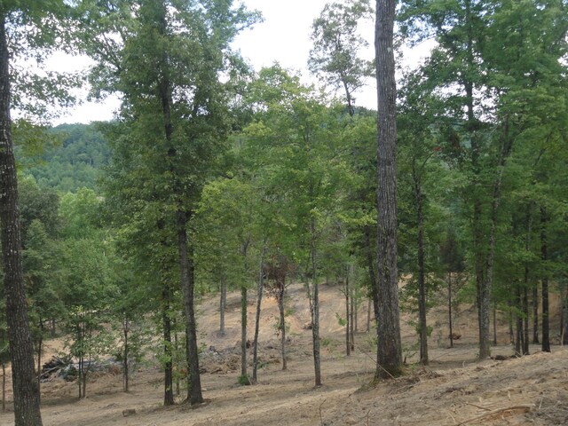 2277 Tellico Reliance Rd, Reliance, TN 37369 - photo 22