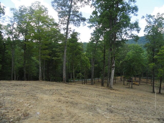 2277 Tellico Reliance Rd, Reliance, TN 37369 - photo 17