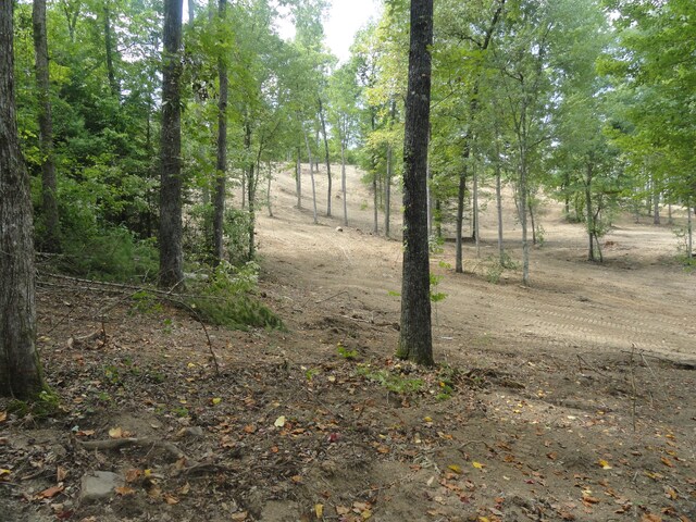 2277 Tellico Reliance Rd, Reliance, TN 37369 - photo 8