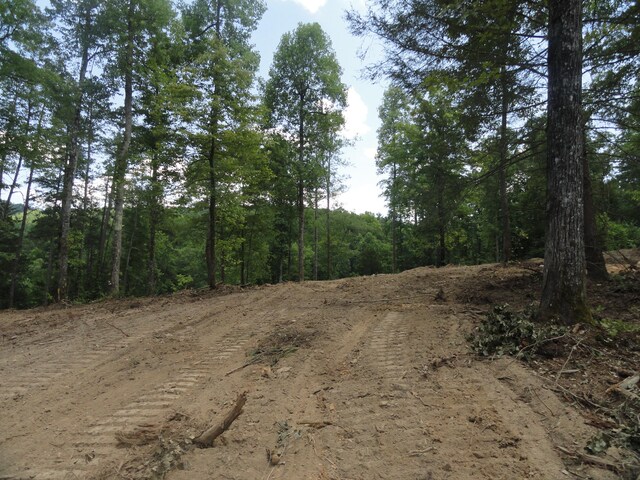 2277 Tellico Reliance Rd, Reliance, TN 37369 - photo 20
