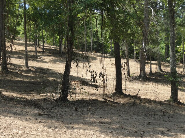 2277 Tellico Reliance Rd, Reliance, TN 37369 - photo 19