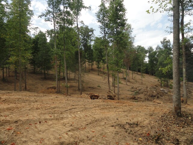 2277 Tellico Reliance Rd, Reliance, TN 37369 - photo 37