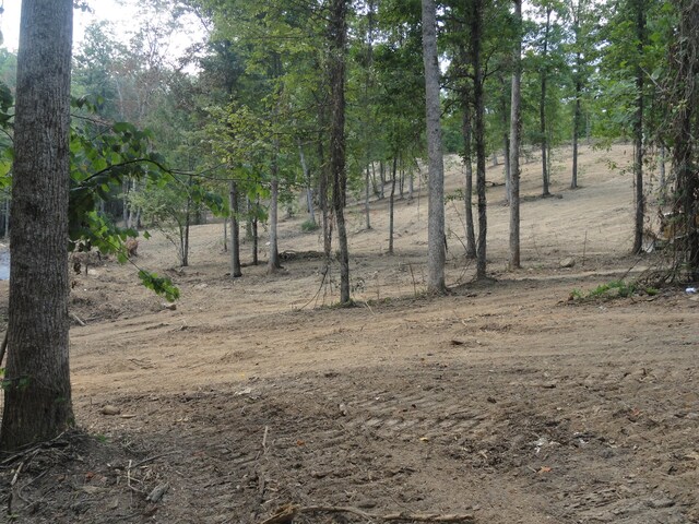 2277 Tellico Reliance Rd, Reliance, TN 37369 - photo 6