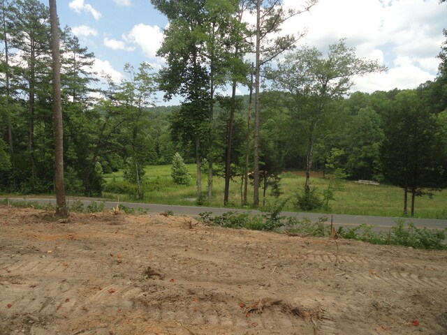 2277 Tellico Reliance Rd, Reliance, TN 37369 - photo 35