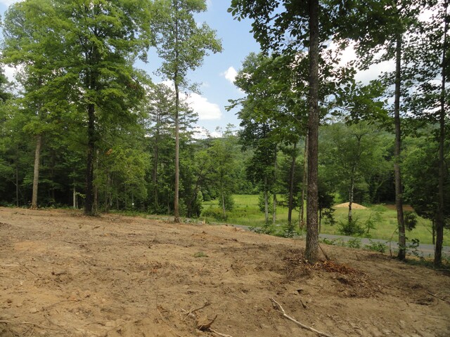 2277 Tellico Reliance Rd, Reliance, TN 37369 - photo 36