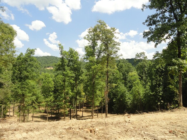 2277 Tellico Reliance Rd, Reliance, TN 37369 - photo 13