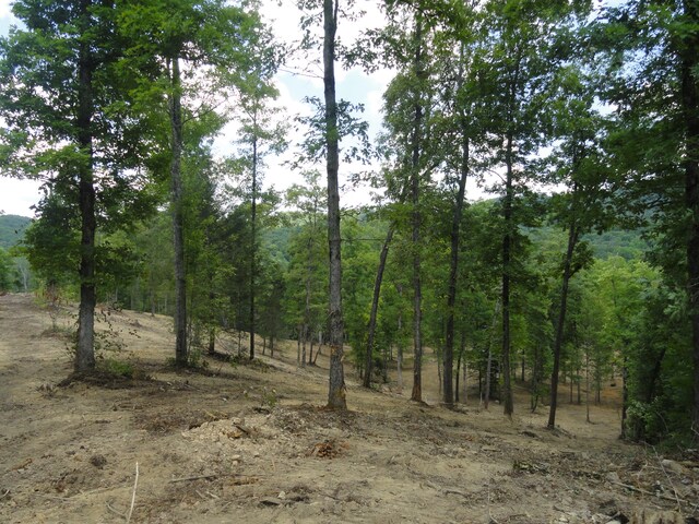 2277 Tellico Reliance Rd, Reliance, TN 37369 - photo 32