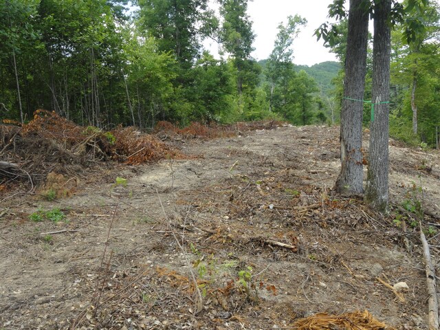 2277 Tellico Reliance Rd, Reliance, TN 37369 - photo 9