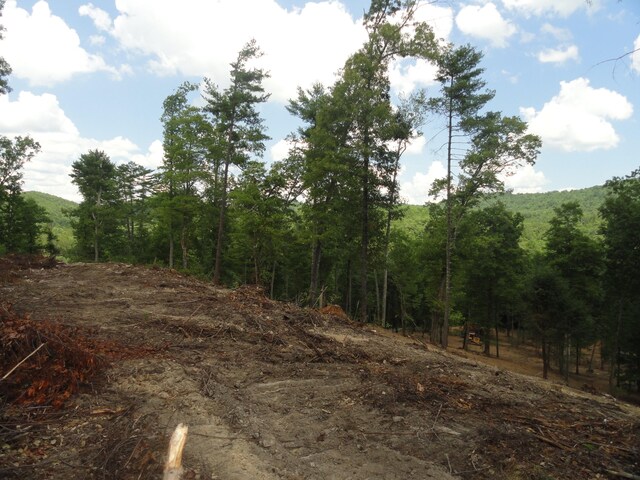 2277 Tellico Reliance Rd, Reliance, TN 37369 - photo 33