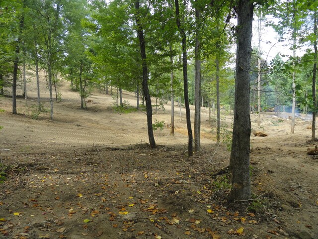 2277 Tellico Reliance Rd, Reliance, TN 37369 - photo 3