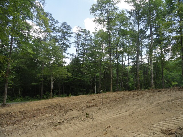 2277 Tellico Reliance Rd, Reliance, TN 37369 - photo 31