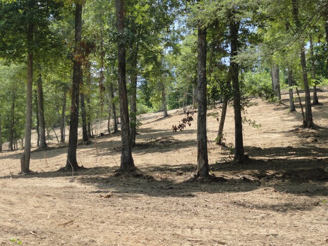2277 Tellico Reliance Rd, Reliance, TN 37369 - photo 18