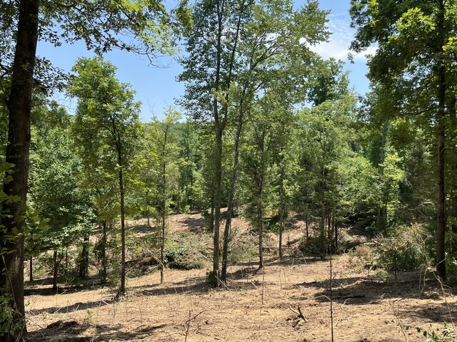 2277 Tellico Reliance Rd, Reliance, TN 37369 - photo 4