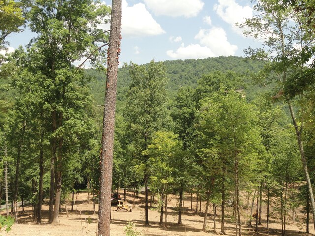 2277 Tellico Reliance Rd, Reliance, TN 37369 - photo 24