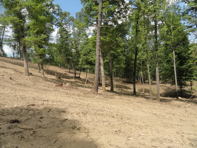 2277 Tellico Reliance Rd, Reliance, TN 37369 - photo 34