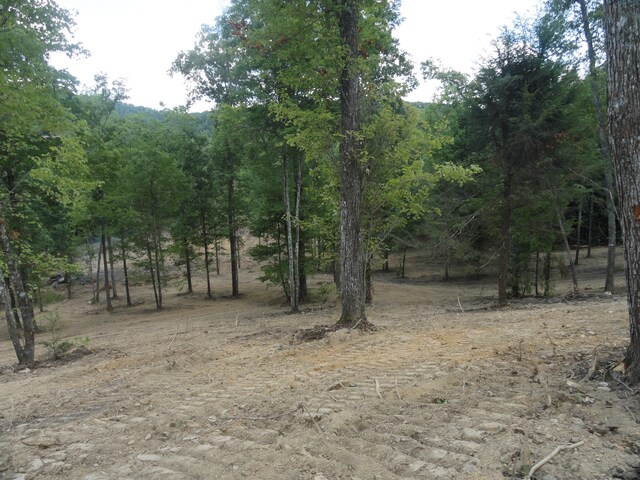 2277 Tellico Reliance Rd, Reliance, TN 37369 - photo 23