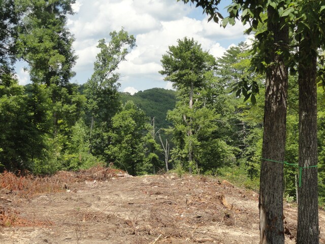 2277 Tellico Reliance Rd, Reliance, TN 37369 - photo 12