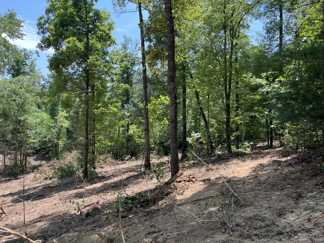 2277 Tellico Reliance Rd, Reliance, TN 37369 - photo 30