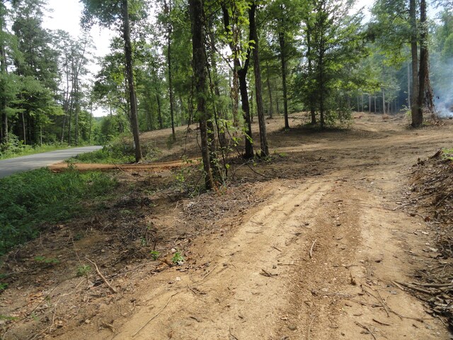 2277 Tellico Reliance Rd, Reliance, TN 37369 - photo 14