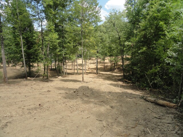 2277 Tellico Reliance Rd, Reliance, TN 37369 - photo 15