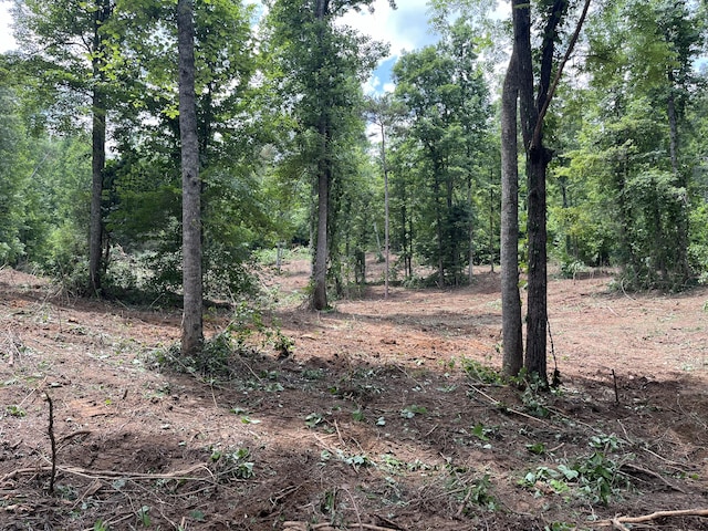 2277 Tellico Reliance Rd, Reliance, TN 37369 - photo 2