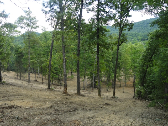 2277 Tellico Reliance Rd, Reliance, TN 37369 - photo 1