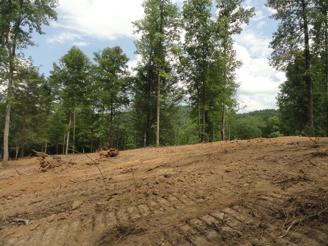 2277 Tellico Reliance Rd, Reliance, TN 37369 - photo 27
