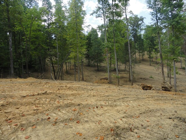 2277 Tellico Reliance Rd, Reliance, TN 37369 - photo 7