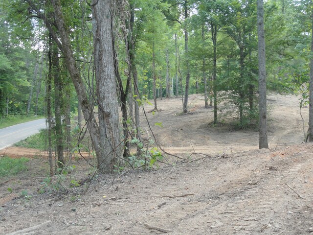 2277 Tellico Reliance Rd, Reliance, TN 37369 - photo 16