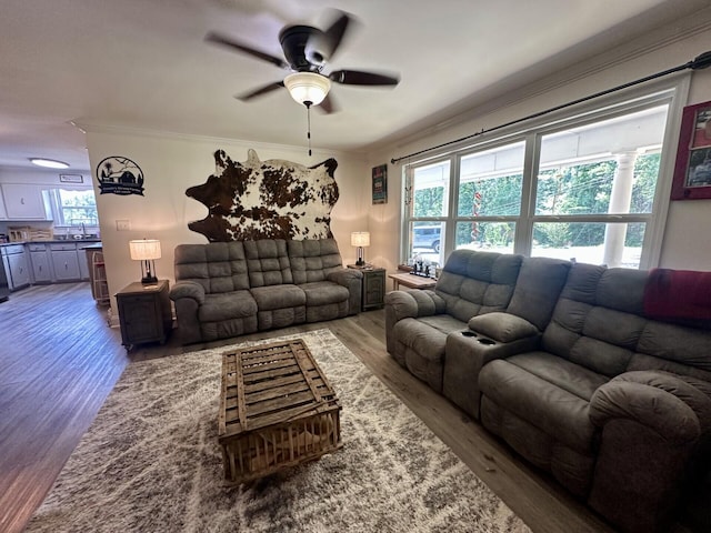 449 York Rd, Ocoee, TN 37361 - photo 2