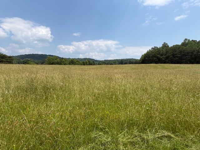 1190 Horton Rd, Sparta, TN 38583 - photo 18