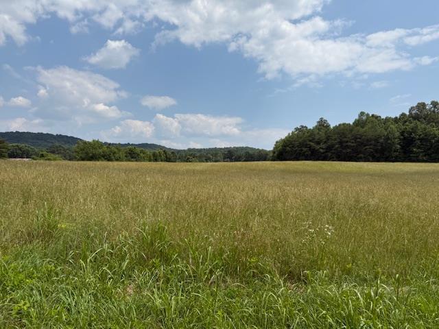 1190 Horton Rd, Sparta, TN 38583 - photo 15