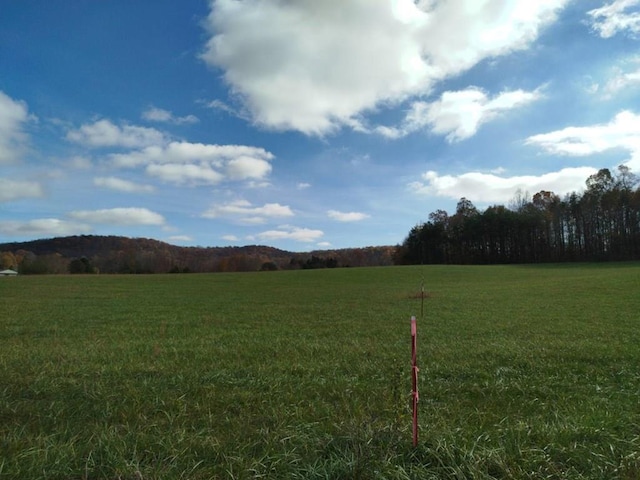 1190 Horton Rd, Sparta, TN 38583 - photo 10
