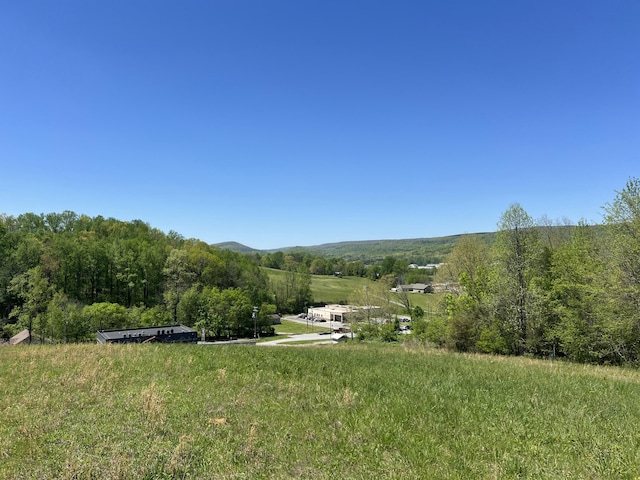 04 Brookstone Heights Ln, Dayton, TN 37321 - photo 1