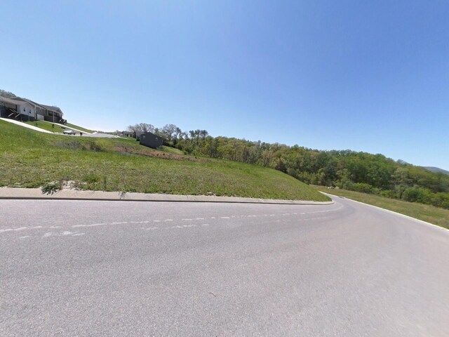 04 Brookstone Heights Ln, Dayton, TN 37321 - photo 6
