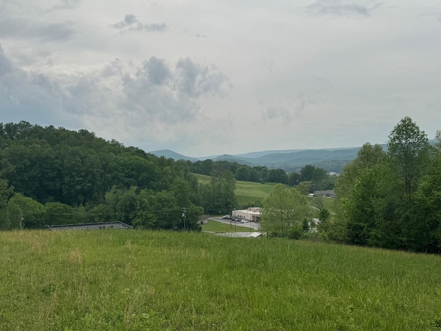 04 Brookstone Heights Ln, Dayton, TN 37321 - photo 2