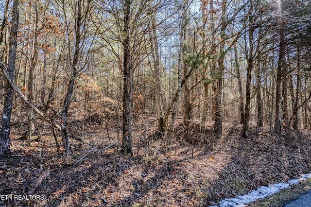 Listing photo 3 for 5ACRES S Nopone Valley Rd, Decatur TN 37322